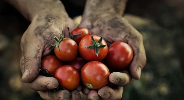 Anuncian seminario sobre agricultura familiar en el país