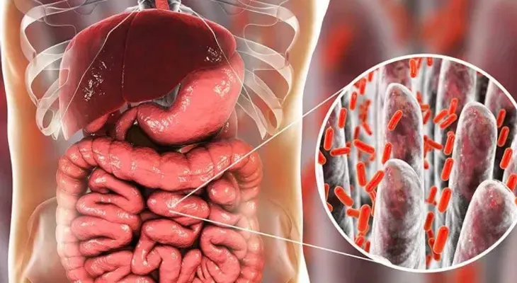 Hallan diferencias en la microbiota intestinal de las personas con depresión