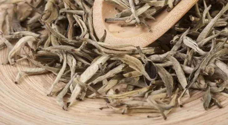 El té blanco, una opción natural para adelgazar