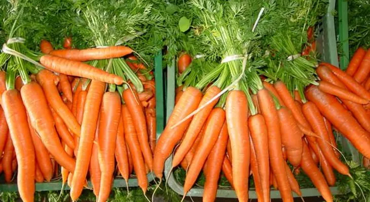 Diez alimentos que mejoran la salud de los ojos y la vista