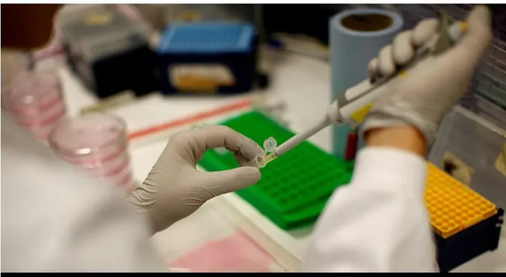 Los científicos descubren una nueva forma de cáncer contagioso