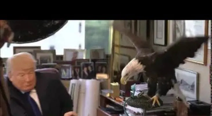 Un águila llamada Tío Sam ataca a Donald Trump (VIDEO)