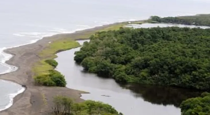 Destacan la riqueza natural de América Latina como factor para su desarrollo
