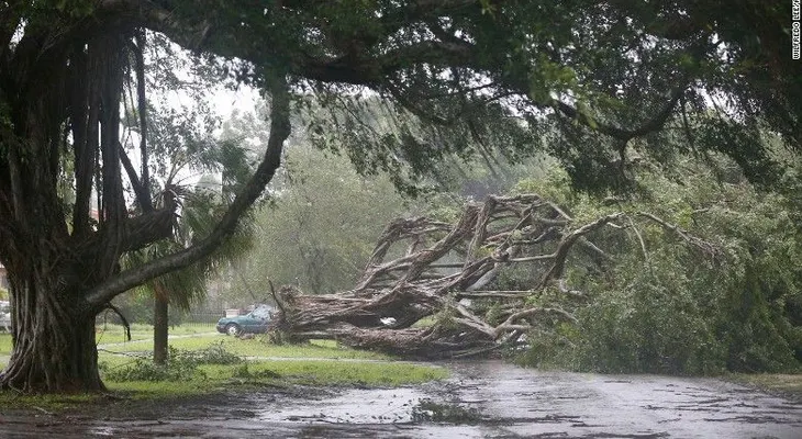 Los récords que ha roto Irma y otras estadísticas impresionantes