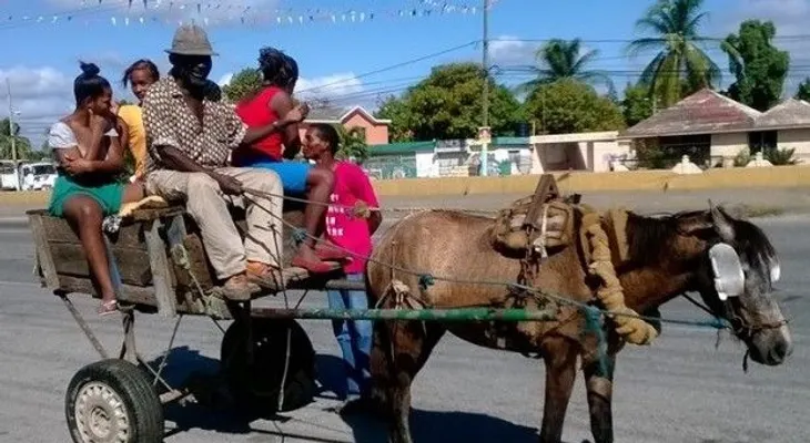 Conozca el "Carreconcho" de Boca Chica