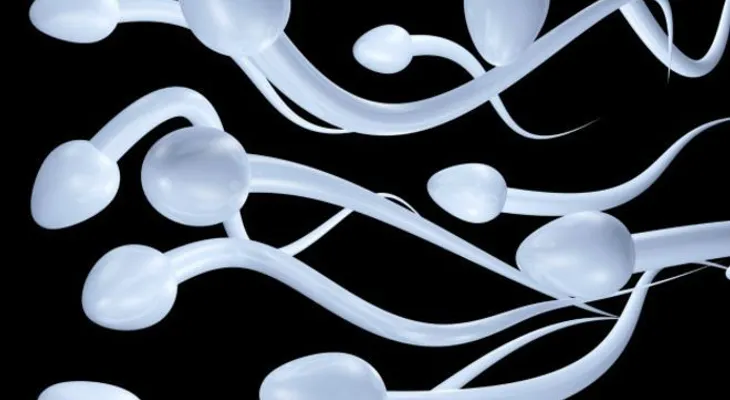 Hipersensibilidad al semen: Una alergia muy singular