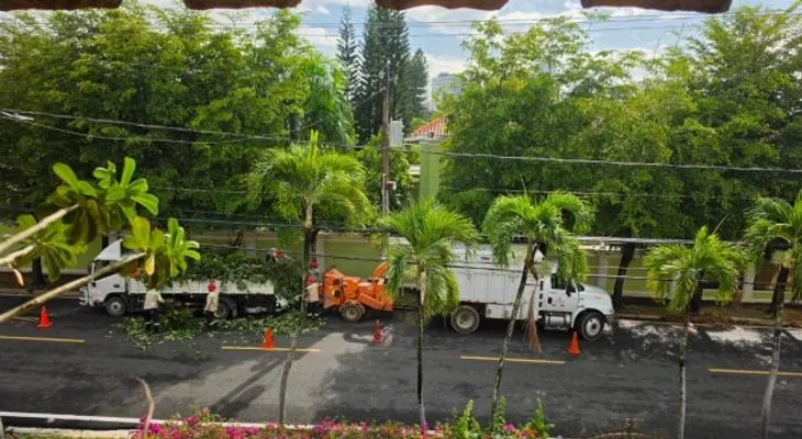 Residentes de Los Cacicazgos denuncian ruido y polvo por trituración de ramas