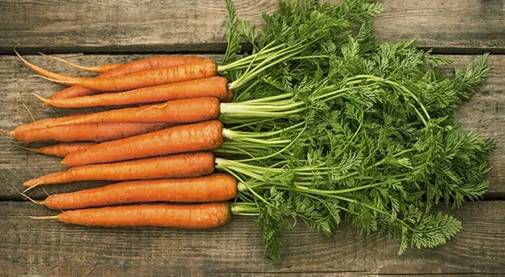Alimentos recomendados para quienes sufren de anemia