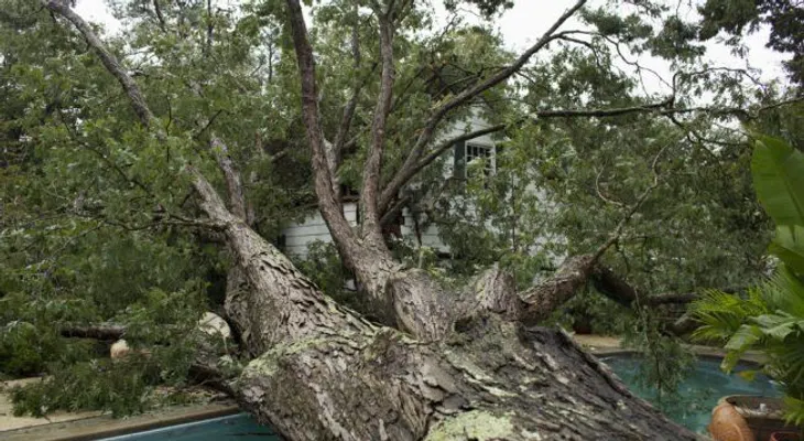 Matthew deja 15 muertos en EEUU e inunda North Carolina