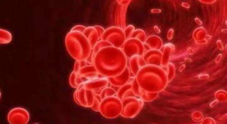 Un gel que sella hemorragias en 20 segundos  (Video)