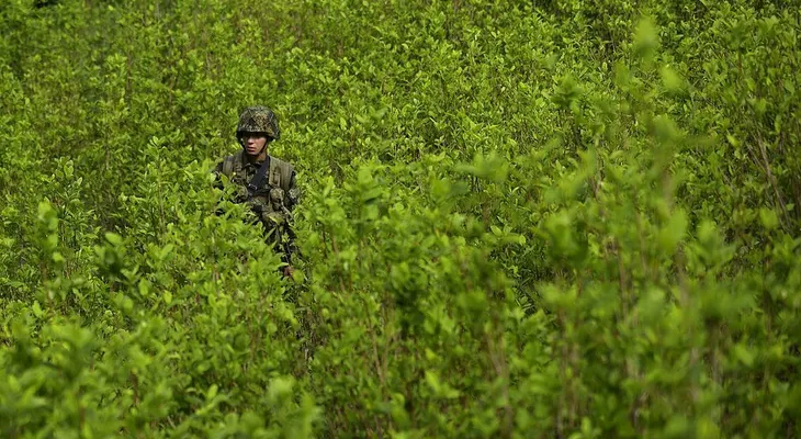 La nueva batalla contra las drogas en Colombia: ¿servirá la sustitución de cultivos?