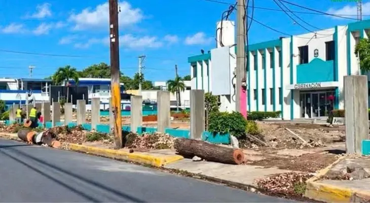 Baní denuncia tala de robles centenarios en el centro urbano durante remozamiento de RD$57 millones