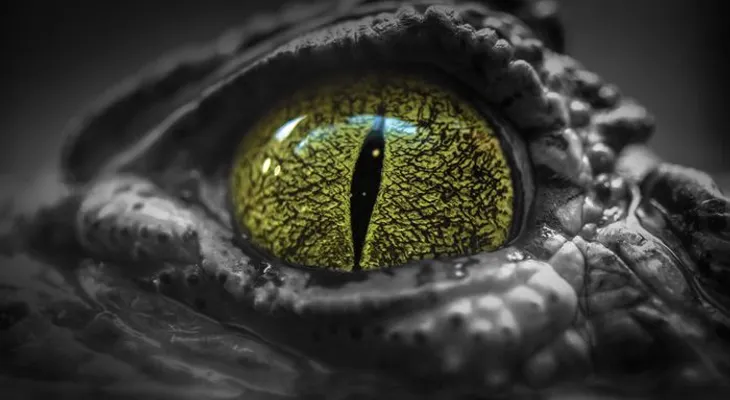 El cambio climático podría resucitar animales prehistóricos