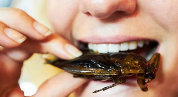 Guácala: ¿Te atreverías hacer la dieta de este adolescente basada en insectos?   
