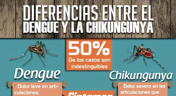 Dengue y chikungunya: ¿Cómo se diferencian?