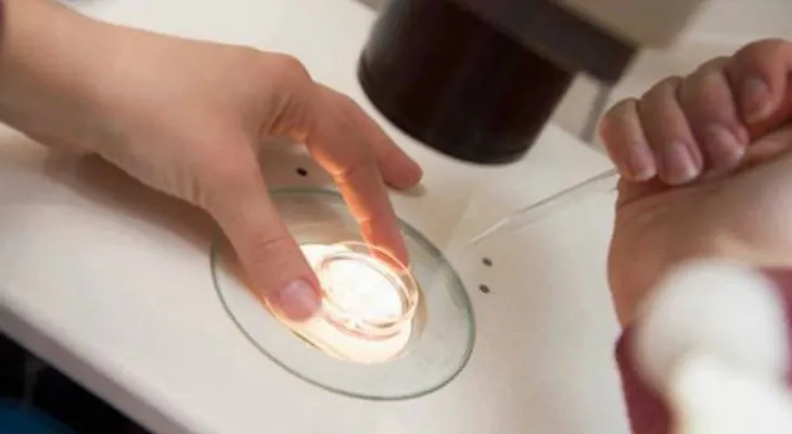 Científicos asombrados: logran crear bebes humanos en el laboratorio