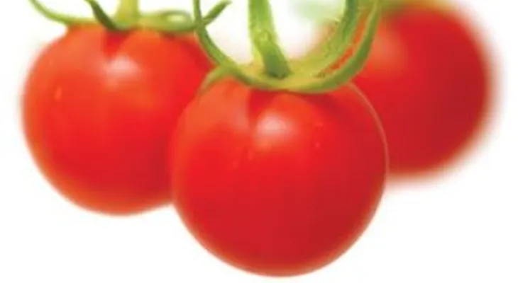 Conoce por qué el tomate, es llamado la manzana del amor