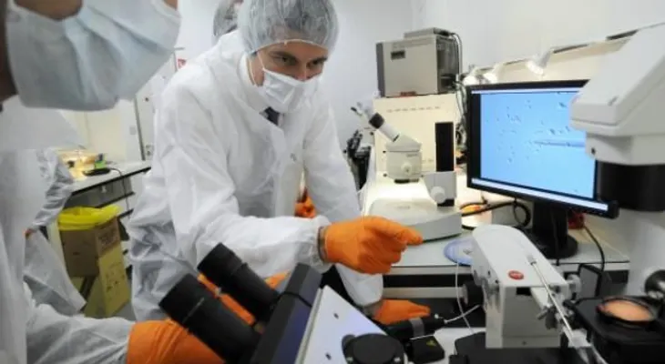 Descubren un mecanismo celular que propicia la metástasis en los cánceres