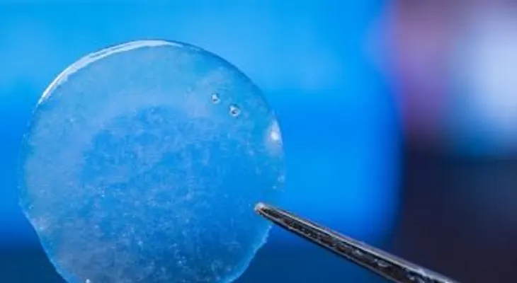 Una bomba química teledirigida contra el cáncer de páncreas
