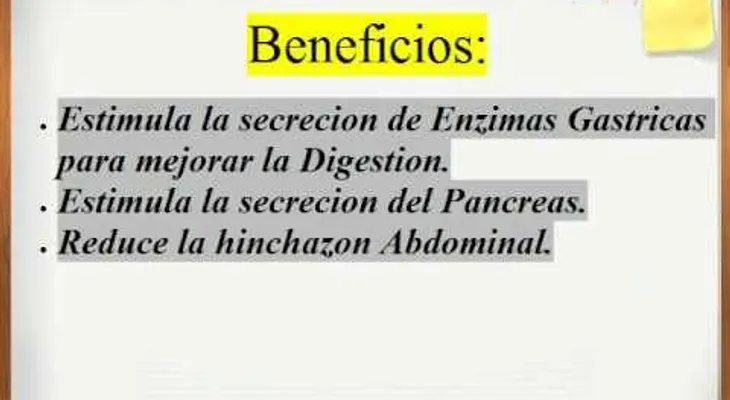 Beneficios del jengibre para la salud (Video)