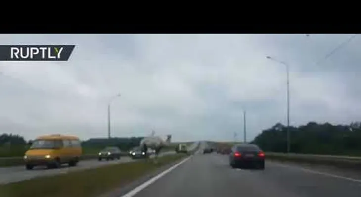 Camello se escapa de un circo y  crea un "lío" en el tránsito de una autopista 
