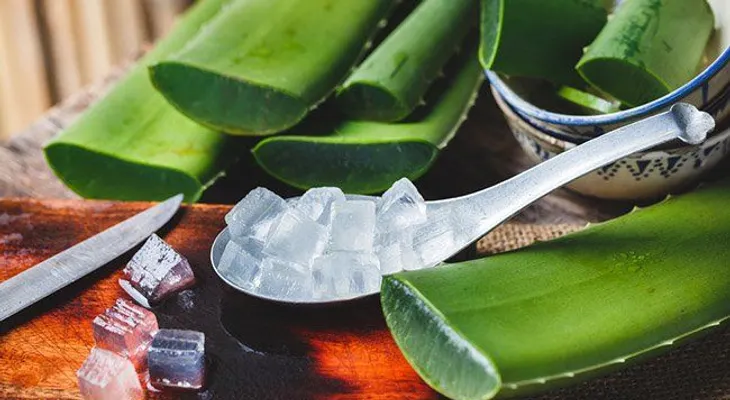 5 INCREÍBLES beneficios de consumir Aloe Vera en ayunas