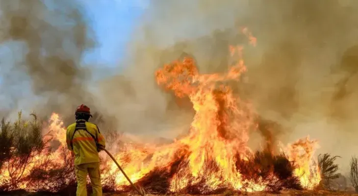 Más de mil bomberos combaten 8 incendios forestales en Portugal