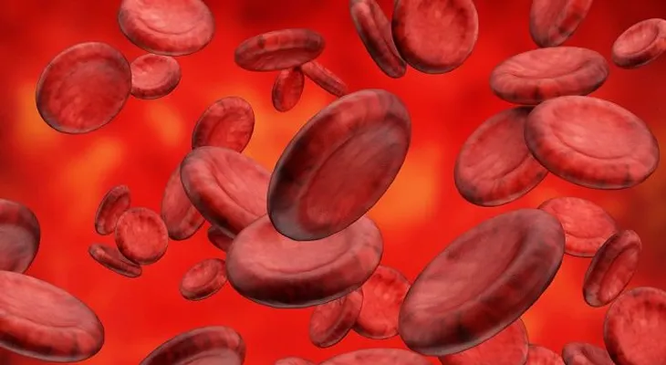 Dieta para depurar la sangre 