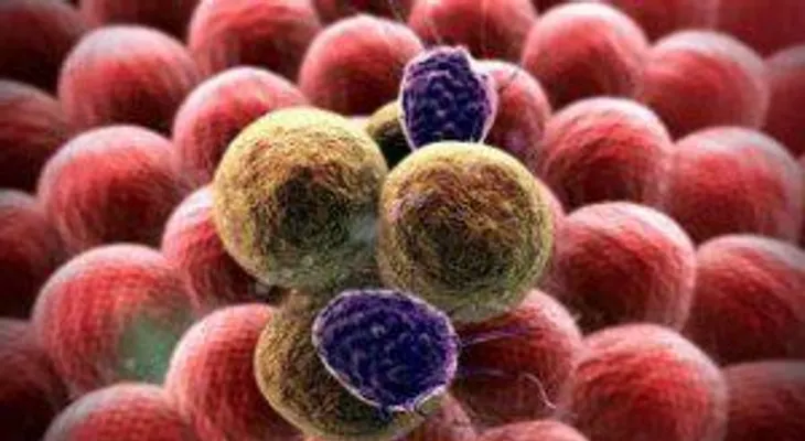 Nanopartículas de la Antártida servirían para marcar células tumorales