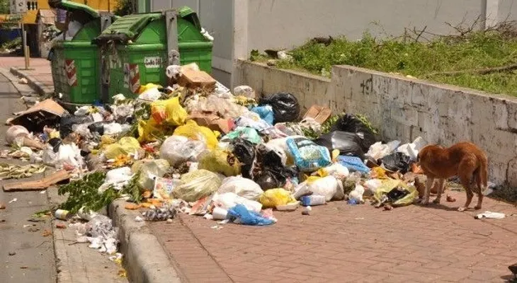Perro casi se come feto humano que halló en basurero