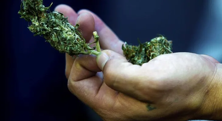 Cinco estados de EEUU votarán este martes si legalizan la marihuana