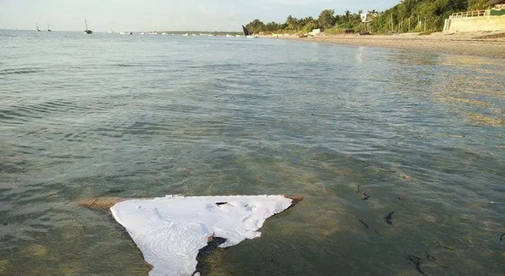 Nuevo reporte sobre el MH370: cayó sin control y en espiral a gran velocidad