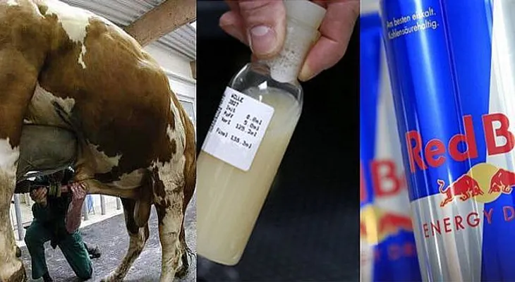 ¡¡¡Las bebidas energéticas podrían contener orina y semen de toro!!!