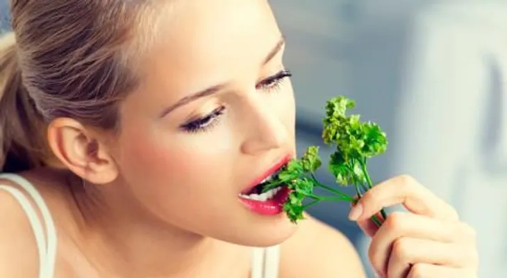 El cilantro ancho para curar la halitosis o mal aliento