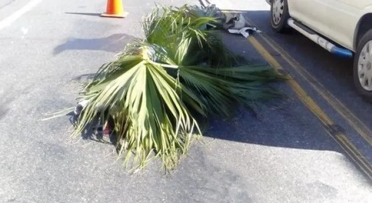 Motorista muere al ser impactado por una patana