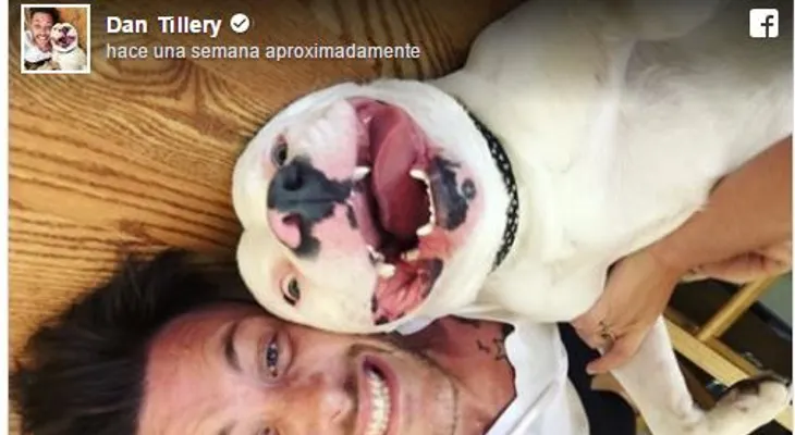 Sacrificarían a un perro porque su imagen se hace viral