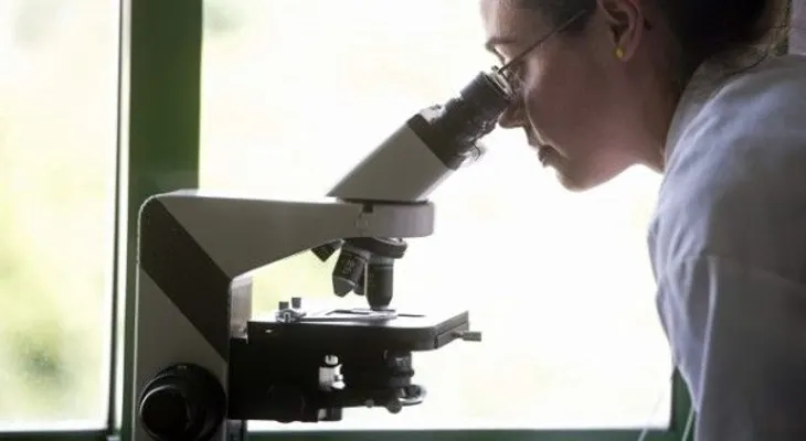 La OMS aprueba un plan para luchar contra la resistencia antimicrobiana