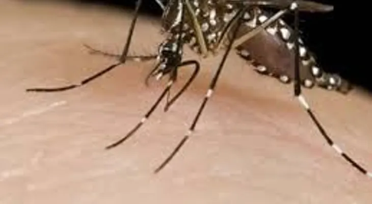 Se elevan a 36  muertos por dengue grave en Honduras