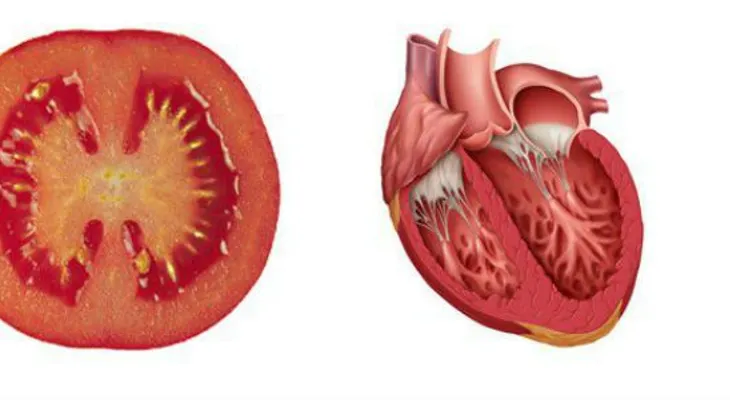 8 Alimentos que curan los órganos a los que se les parecen