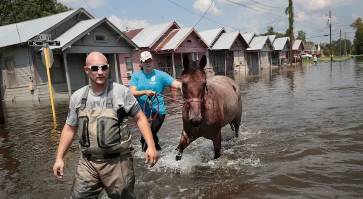 Aguas residuales y bacterias fecales son detectadas tras Harvey
