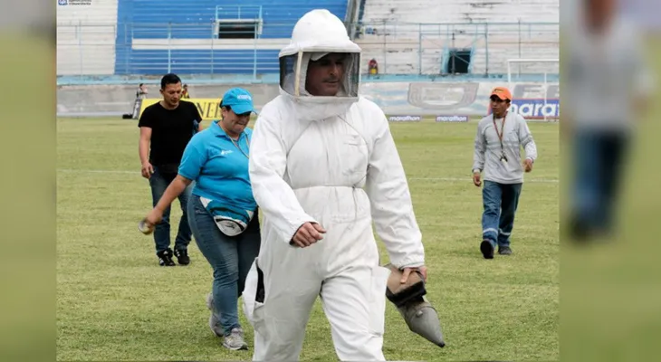 Por ataque de abejas cancelaron partido de fútbol ecuatoriano