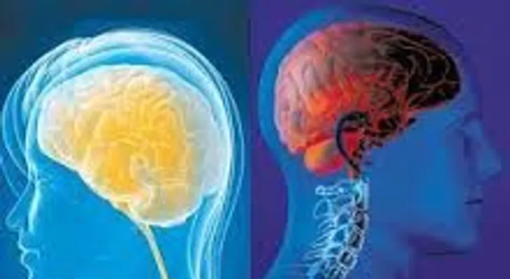 Las principales diferencias entre el cerebro femenino y el masculino