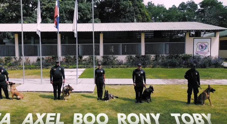 DNCD rinde honores a cinco héroes caninos tras años de servicio en detección de drogas