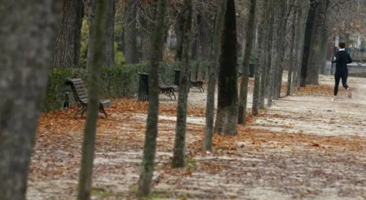 Los humanos son cada vez más insensibles a contenidos violentos o sexuales