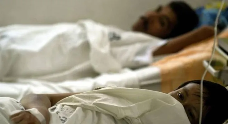 Detectan en Brasil mutaciones genéticas inéditas en virus de fiebre amarilla
