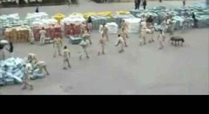 En Tijuana, México: Decomisan 44 toneladas de marihuana