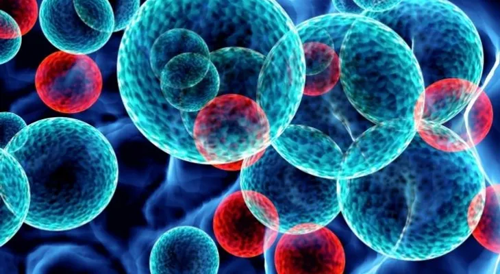 La leucemia linfática crónica camina hacia un futuro sin quimioterapia