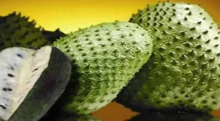 Encuentran planta cura VIH, combate diabetes y cáncer, pero la industria no quiere que lo sepas