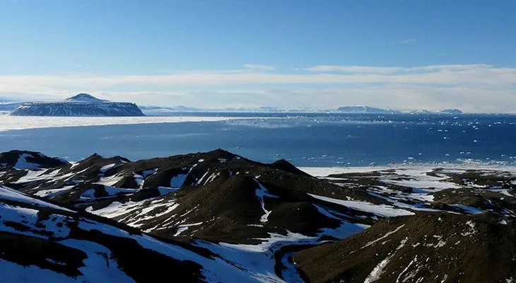 Hallan restos de un ave gigante que vivió hace 50 millones de años en la Antártida