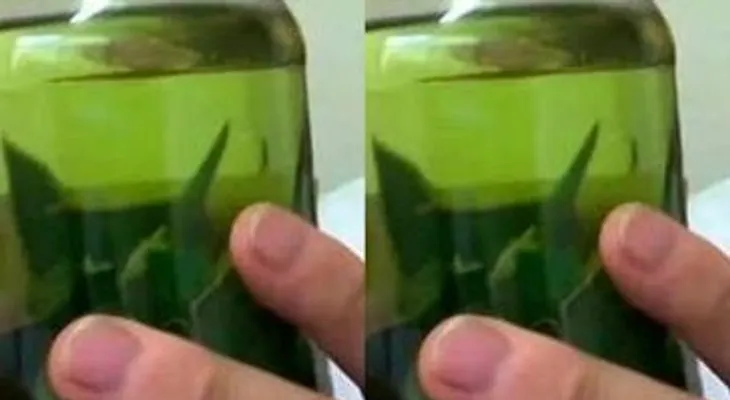 Despídete ahora mismo del colesterol, diabetes, triglicéridos y ulceras con las hojas de esta planta 